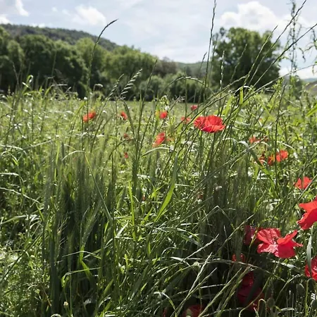 Vocabolo San Sebastiano Holiday home *