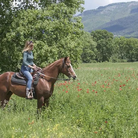 Vocabolo San Sebastiano Holiday home *